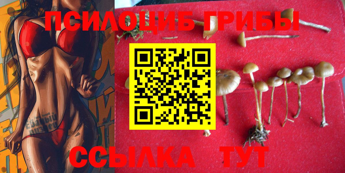 Псилоцибиновые грибы прущие грибы  Вход с VPN  Старый Оскол 
